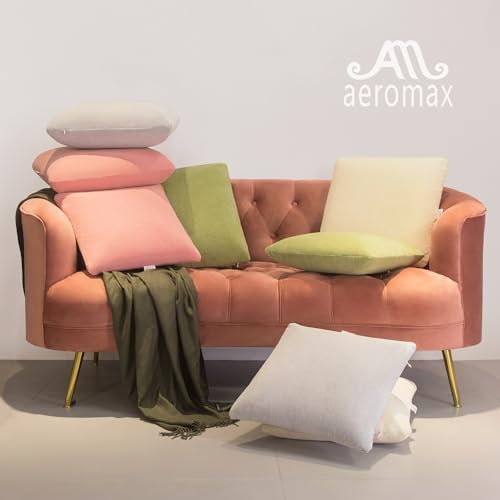 AM AEROMAX 12 x 20 Pillow Insert Pack of 2