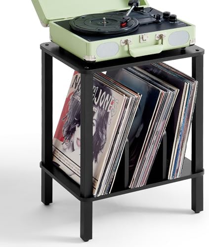 LELELINKY 2-Tier Record Player Stand with Storage for 100 Albums Black