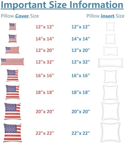 AM AEROMAX 12 x 20 Pillow Insert Pack of 2