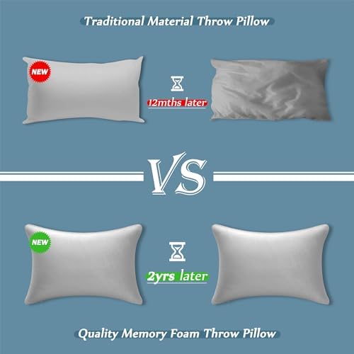 AM AEROMAX 12 x 20 Pillow Insert Pack of 2