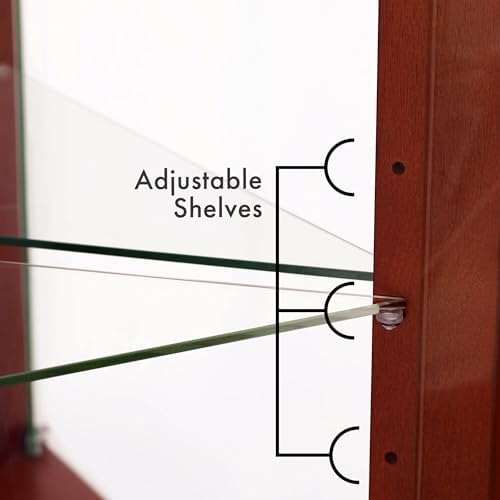 6 Shelves Corner Curio Cabinet with Lighting and Mirrored Back