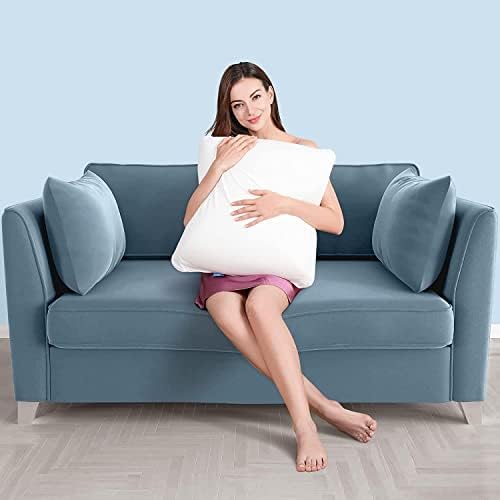 AM AEROMAX 12 x 20 Pillow Insert Pack of 2