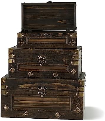 Soul Lane Branson Wooden Storage Trunks Set of 3