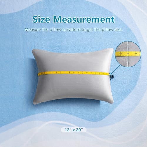 AM AEROMAX 12 x 20 Pillow Insert Pack of 2