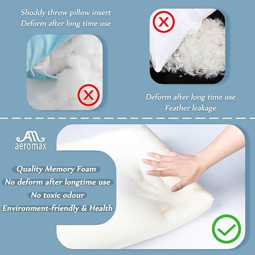 AM AEROMAX 12 x 20 Pillow Insert Pack of 2
