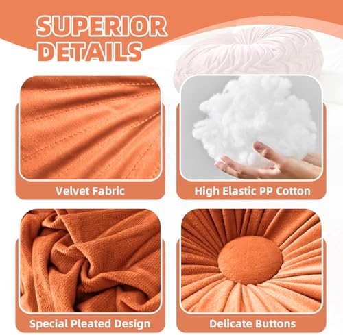 Teieas 2 Pcs Round Velvet Throw Pillows Blush