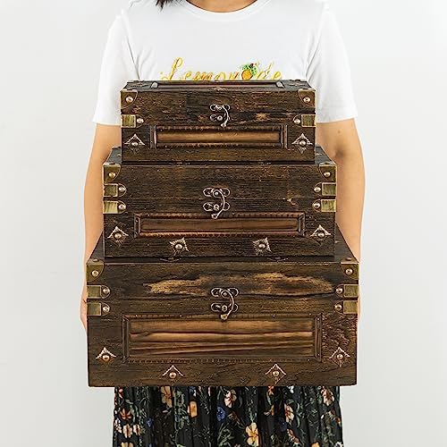 Soul Lane Branson Wooden Storage Trunks Set of 3