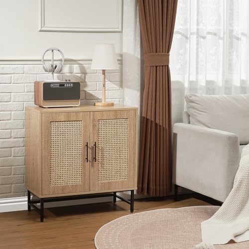 Modern Storage Cabinet with PE Rattan Door