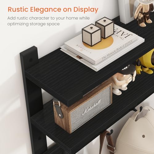 Homode 2 Tier Wall Shelf with Hooks Coat Rack
