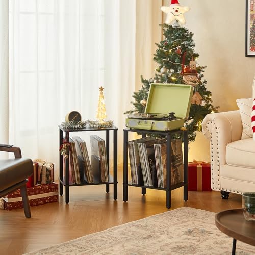 LELELINKY 2-Tier Record Player Stand with Storage for 100 Albums Black