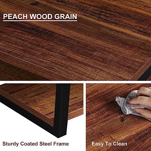 LUCKUP Floating Wall Shelves with 2 Shelves Wood AV Media Stand